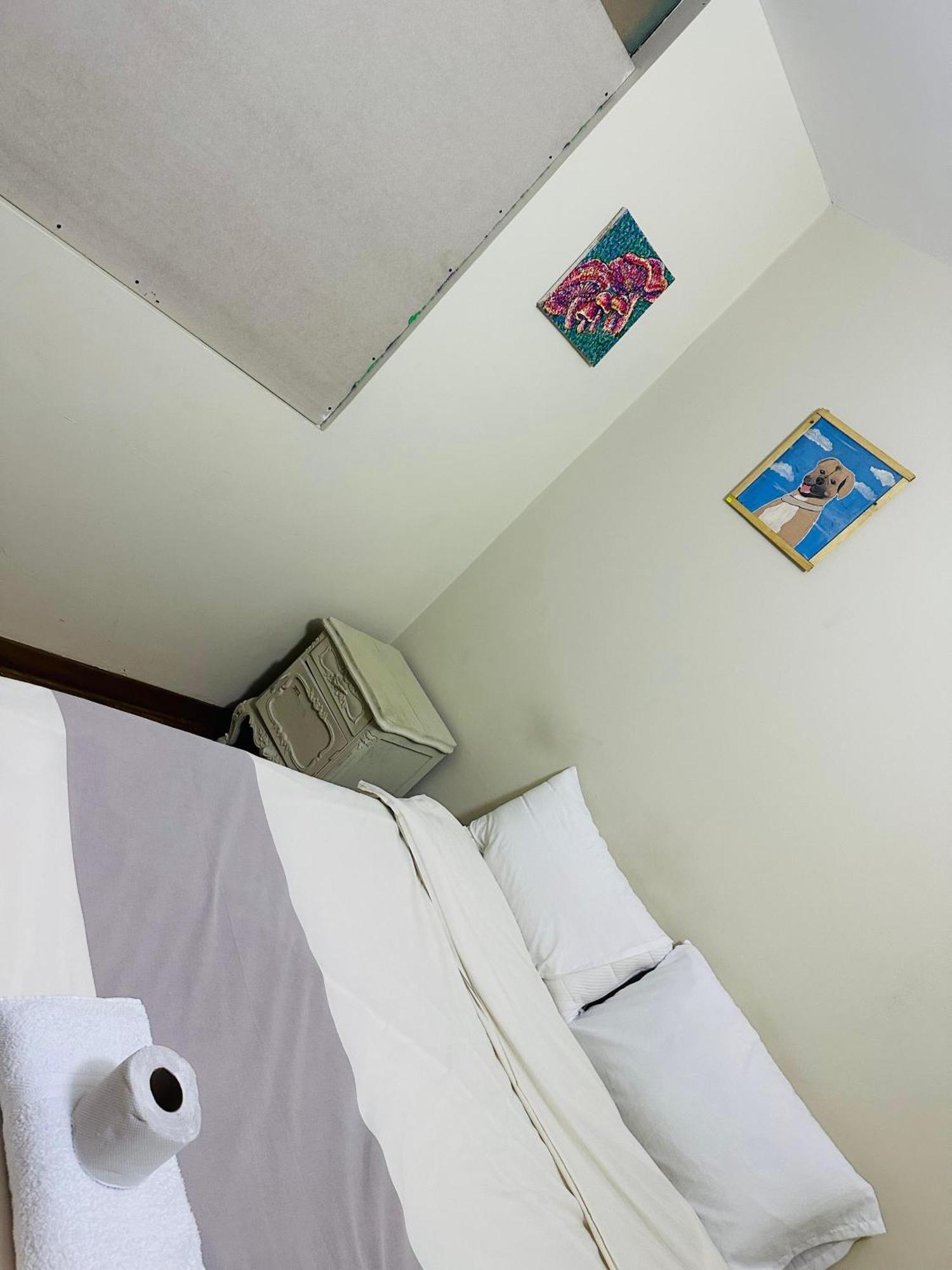 Hostel Colores Miraflores 利马 外观 照片